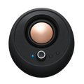 Pebble Pro