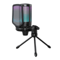 AmpliGame A6V