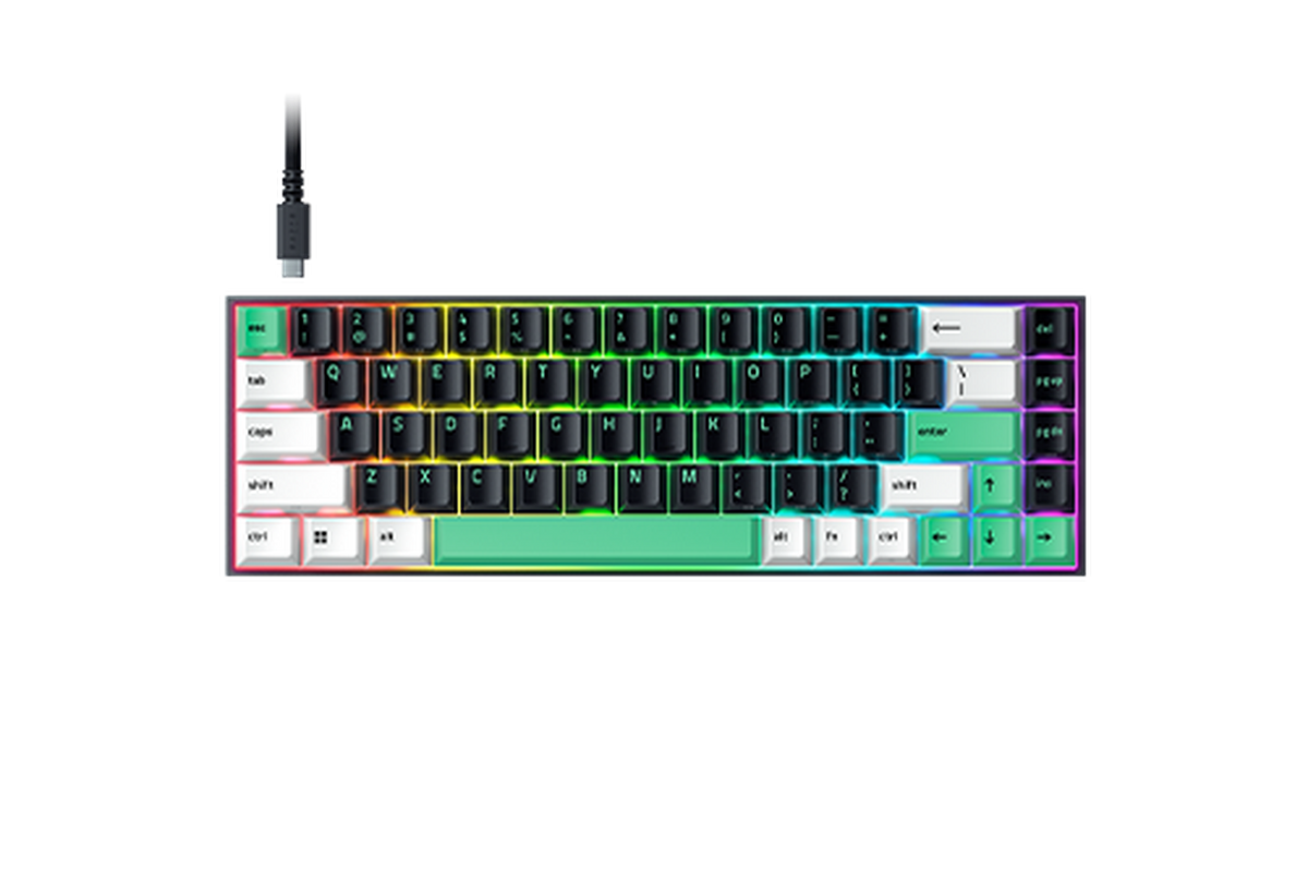 Reclusa X Mini 65%